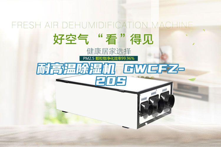 耐高溫91看片网站 GWCFZ-20S