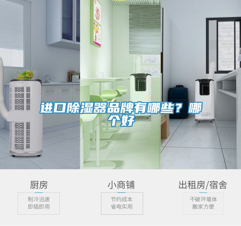 進口除濕器品牌有哪些？哪個好