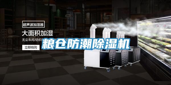 糧倉防潮91看片网站