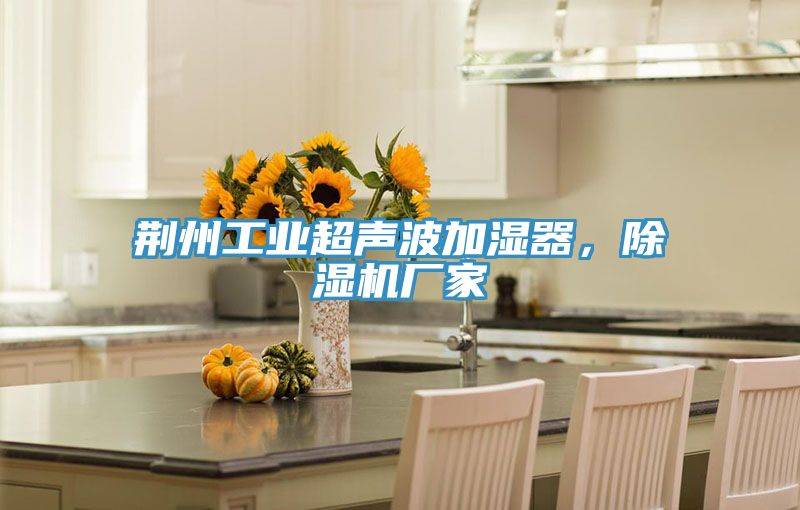 荊州工業超聲波加濕器，91看片网站廠家