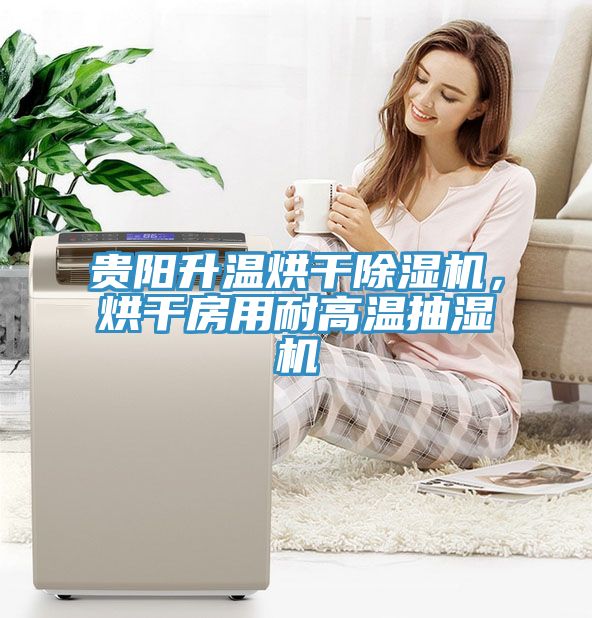 貴陽升溫烘幹91看片网站，烘幹房用耐高溫抽濕機