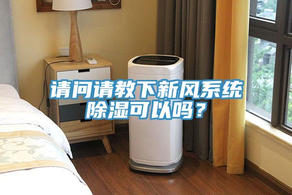 請問請教下新風係統除濕可以嗎？