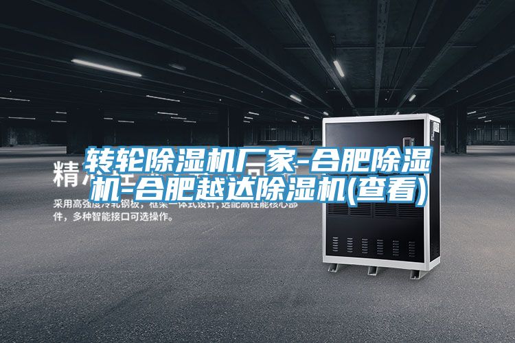 轉輪91看片网站廠家-合肥91看片网站-合肥越達91看片网站(查看)