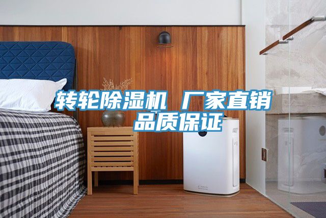 轉輪91看片网站 廠家直銷  品質保證