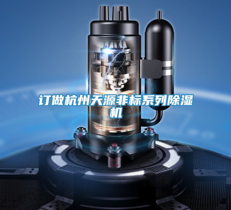 訂做杭州天源非標係列91看片网站