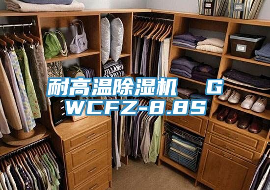 耐高溫91看片网站  GWCFZ-8.8S