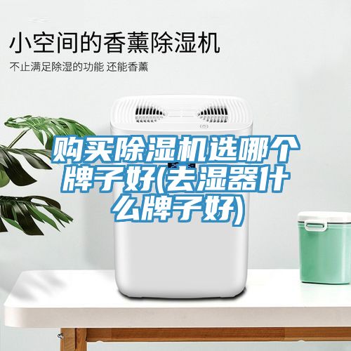 購買91看片网站選哪個牌子好(去濕器什麽牌子好)