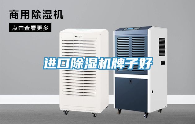 進口91看片网站牌子好