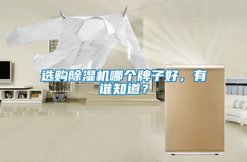 選購91看片网站哪個牌子好，有誰知道？