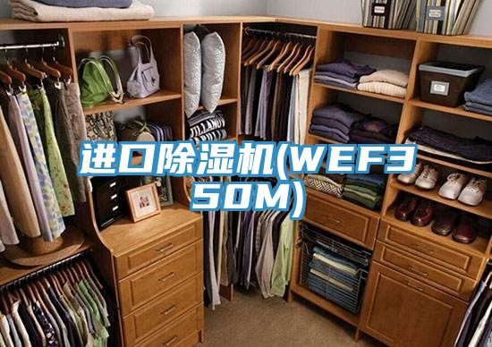 進口91看片网站(WEF350M)