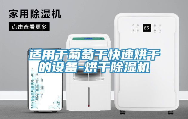 適用於葡萄幹快速烘幹的設備-烘幹91看片网站