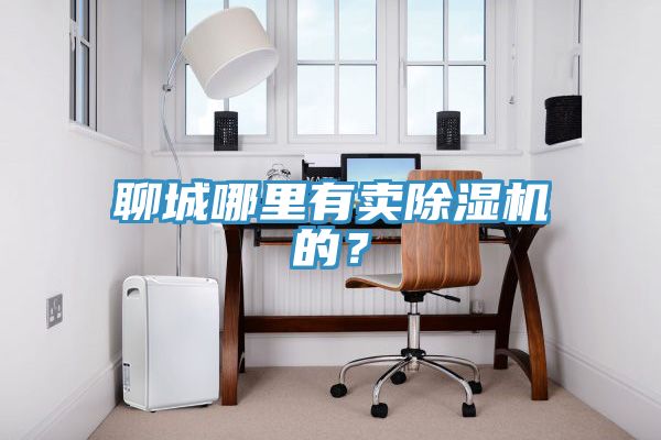聊城哪裏有賣91看片网站的？
