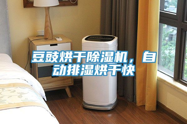 豆豉烘幹91看片网站，自動排濕烘幹快