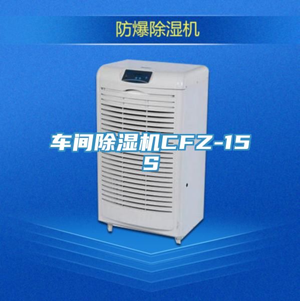 車間91看片网站CFZ-15S