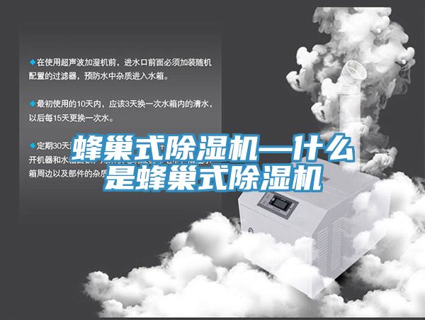 蜂巢式91看片网站—什麽是蜂巢式91看片网站