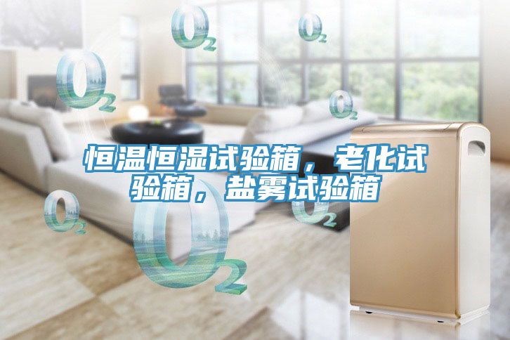 恒溫恒濕試驗箱，老化試驗箱，鹽霧試驗箱