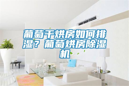 葡萄幹烘房如何排濕？葡萄烘房91看片网站