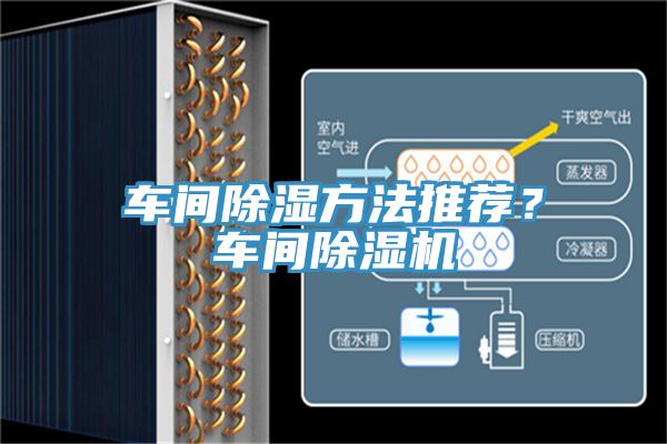 車間除濕方法推薦？車間91看片网站