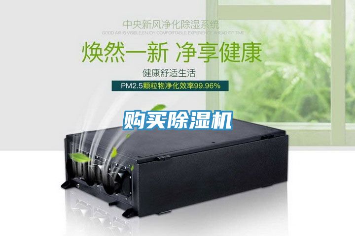 購買91看片网站