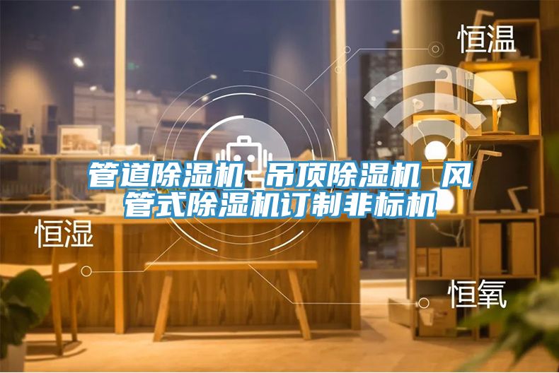 管道91看片网站 吊頂91看片网站 風管式91看片网站訂製非標機