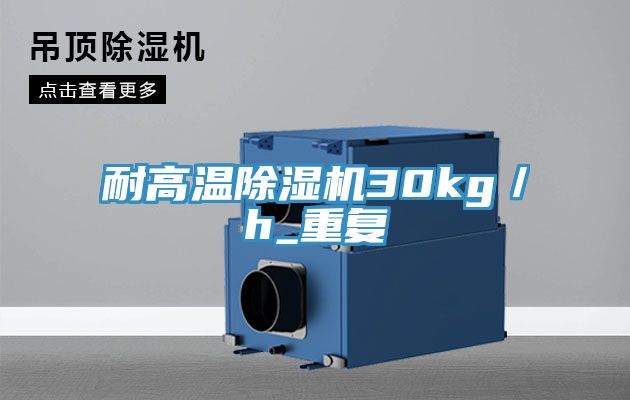 耐高溫91看片网站30kg／h_重複
