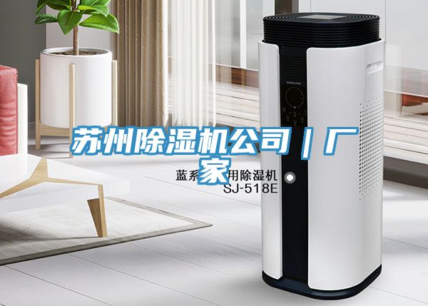 蘇州91看片网站公司｜廠家