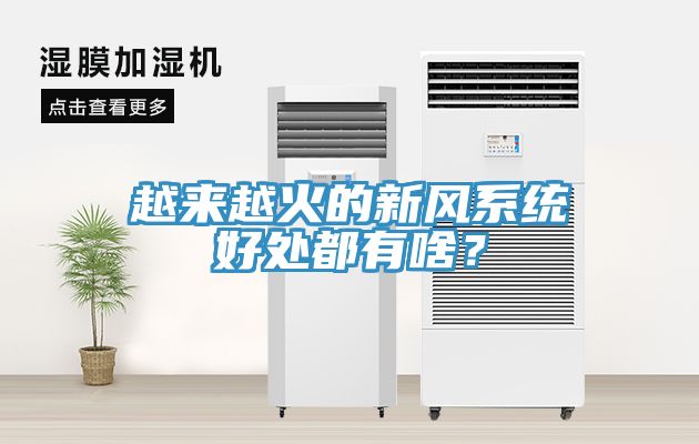 越來越火的新風係統好處都有啥？