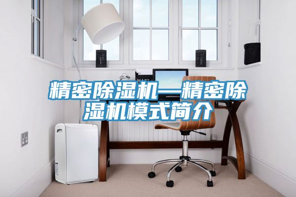 精密91看片网站—精密91看片网站模式簡介