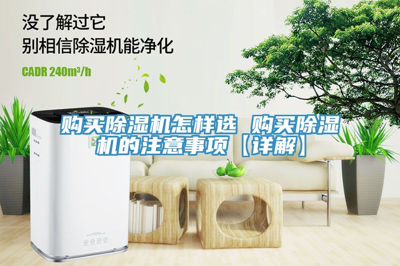 購買91看片网站怎樣選 購買91看片网站的注意事項【詳解】