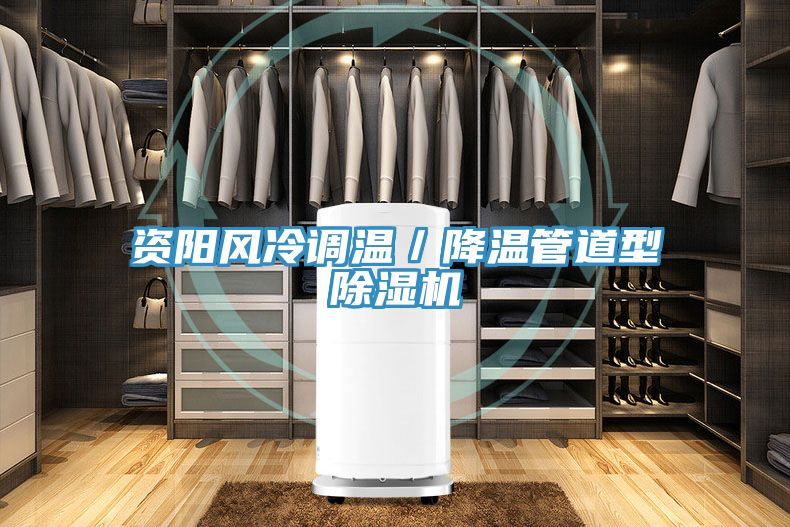 資陽風冷調溫／降溫管道型91看片网站