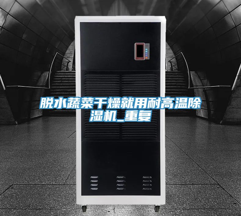 脫水蔬菜幹燥就用耐高溫91看片网站_重複