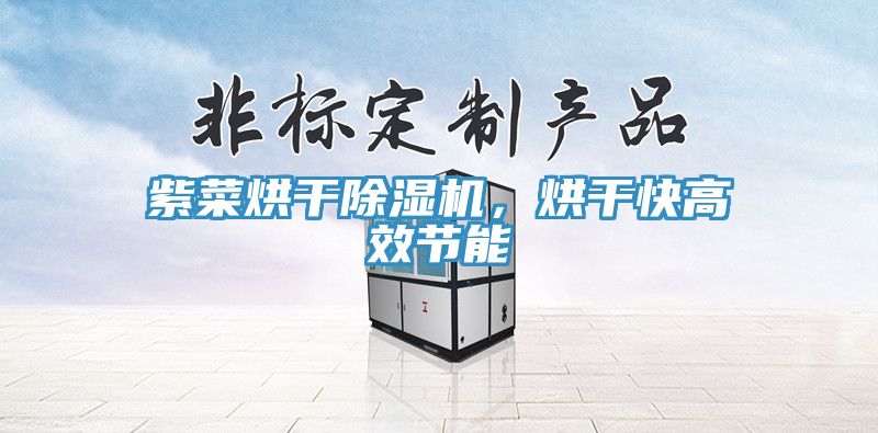 紫菜烘幹91看片网站，烘幹快高效節能