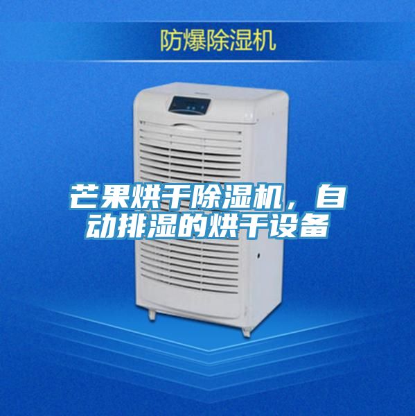 芒果烘幹91看片网站，自動排濕的烘幹設備