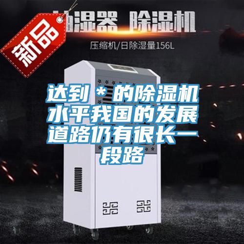 達到＊的91看片网站水平我國的發展道路仍有很長一段路