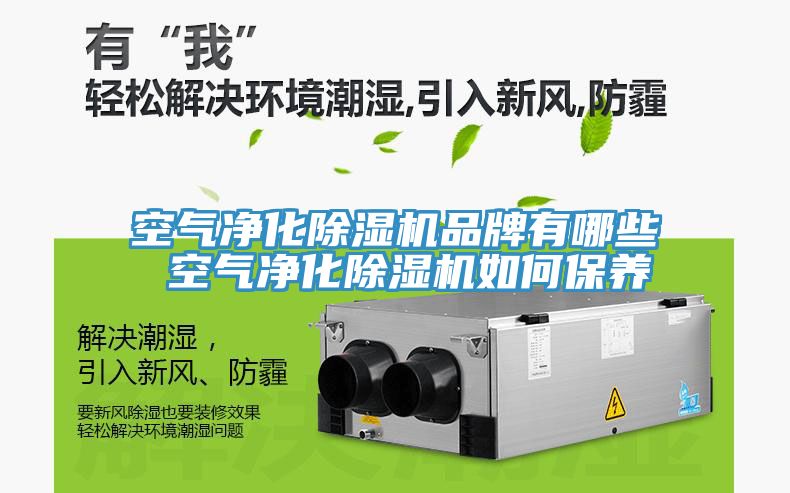 空氣淨化91看片网站品牌有哪些 空氣淨化91看片网站如何保養