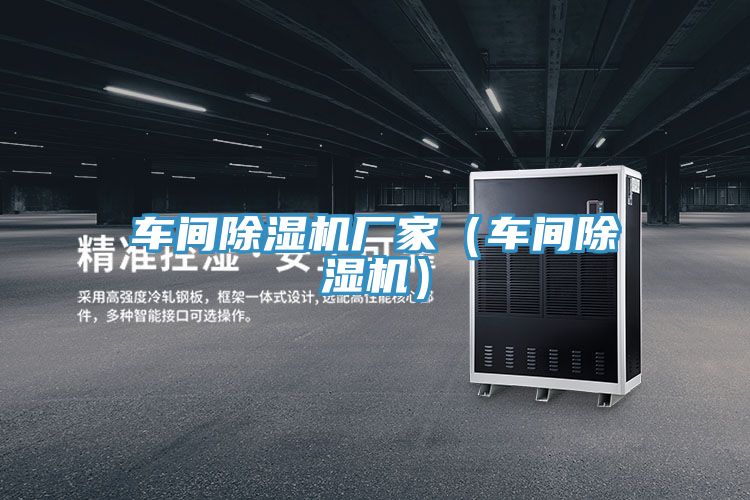 車間91看片网站廠家（車間91看片网站）