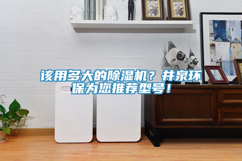 該用多大的91看片网站？井泉環保為您推薦型號！