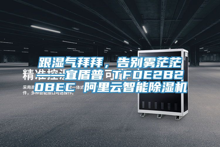 跟濕氣拜拜，告別霧茫茫——宜盾普 TFDE2B20BEC 阿裏雲智能91看片网站
