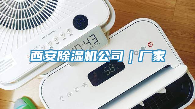 西安91看片网站公司｜廠家