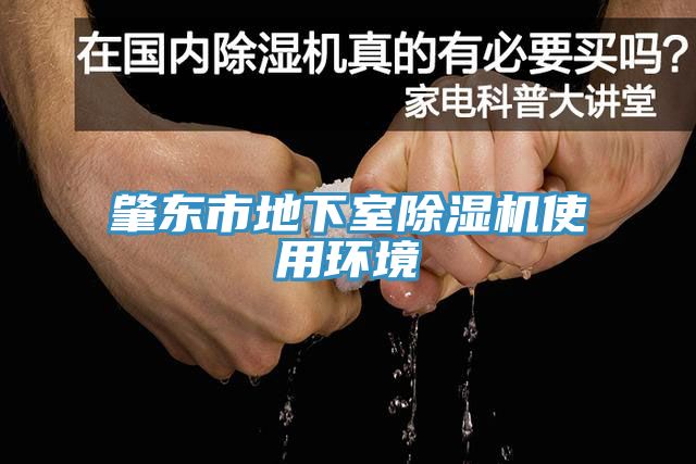 肇東市地下室91看片网站使用環境