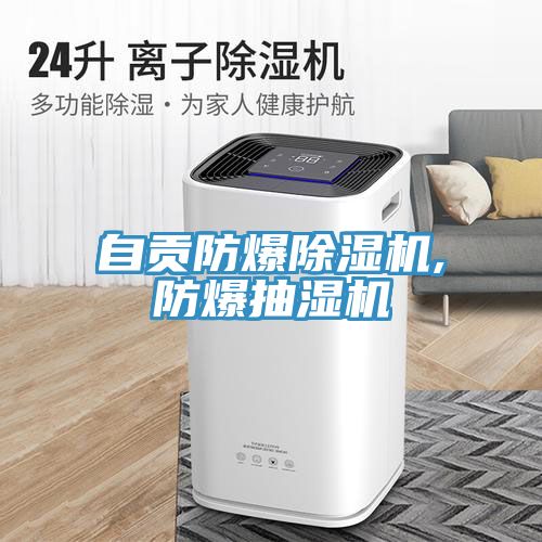 自貢防爆91看片网站,防爆抽濕機