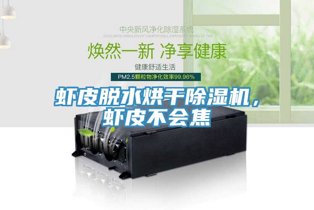 蝦皮脫水烘幹91看片网站，蝦皮不會焦