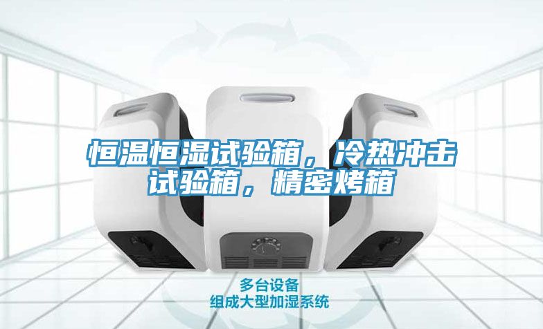 恒溫恒濕試驗箱，冷熱衝擊試驗箱，精密烤箱