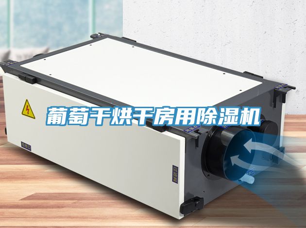 葡萄幹烘幹房用91看片网站