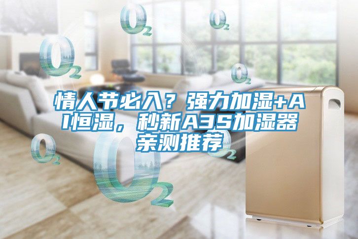 情人節必入？強力加濕+AI恒濕，秒新A3S加濕器親測推薦