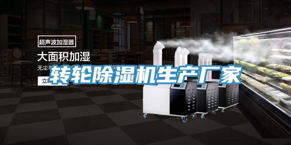 轉輪91看片网站生產廠家
