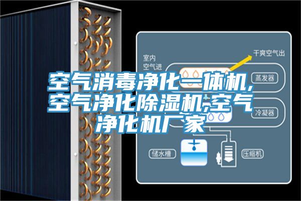 空氣消毒淨化一體機,空氣淨化91看片网站,空氣淨化機廠家