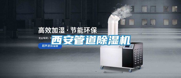 西安管道91看片网站