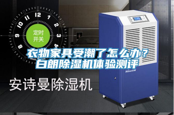 衣物家具受潮了怎麽辦？白朗91看片网站體驗測評