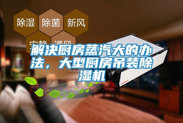 解決廚房蒸汽大的辦法，大型廚房吊裝91看片网站
